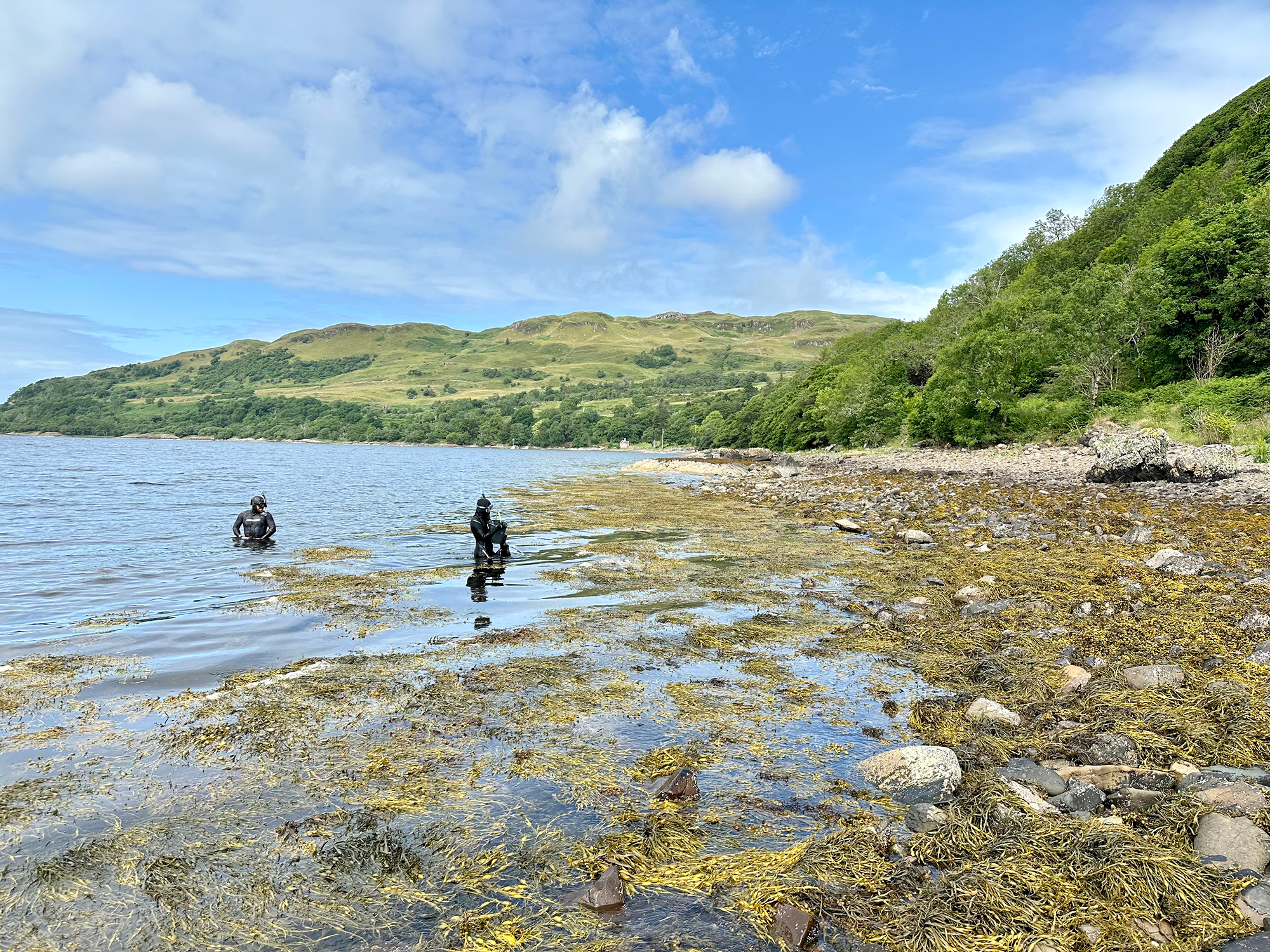 BAS Bryozoans expedition (July 2023)