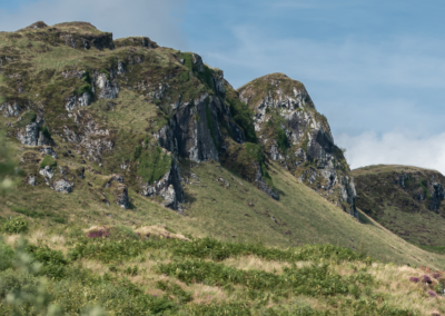 Kilchoan plantations landscape