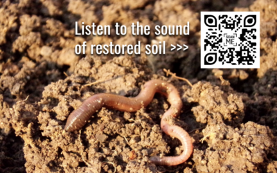 The sound of restored soil: potential application of ecoacustics for soil biodiversity assessment