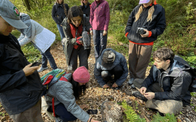Activating the Ecosystem Alliance: a research week in situated practice